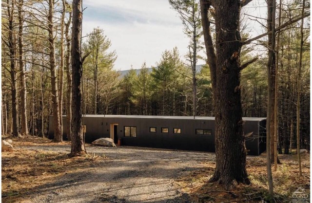 100ft of Forest Light - Modern Catskills Escape