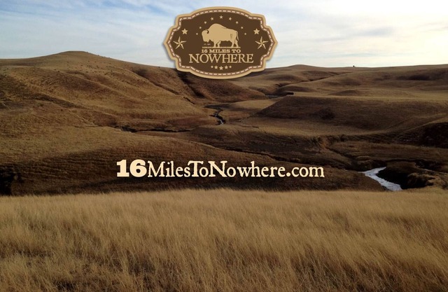 🦬 16 Miles to Nowhere: Experience the Dakota Prairie