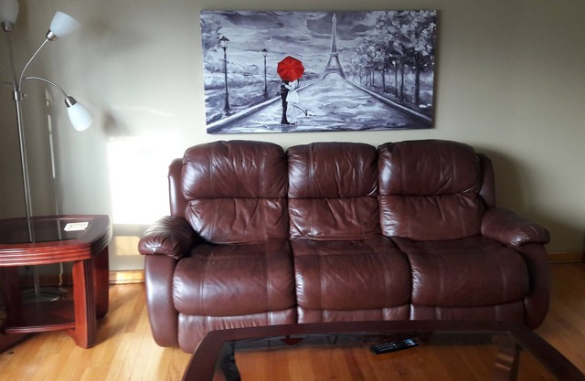 1BR, 1Bath apartment near O'Hare Chicago