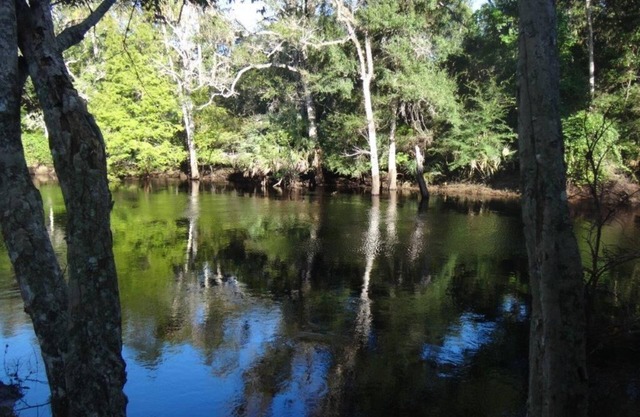 2/1 Riverfront! Cabin-Fireplaces-Balcony-Nature-Fishing-Gulf of Mexico