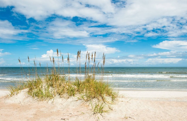 2 Bed/2.5 Bath Townhome In Gorgeous Timeless Amelia Island Steps from the Beach
