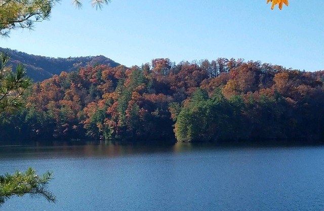 2 Bedroom 1 Bath Cozy Cottage