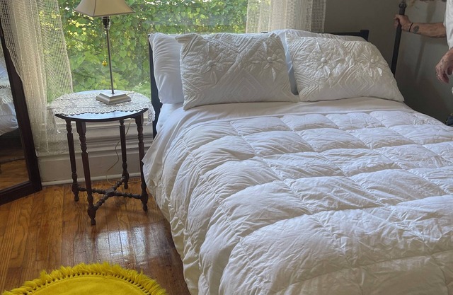 2-bedroom 19th centry Victorian apartment Des Moines with AC, WiFi