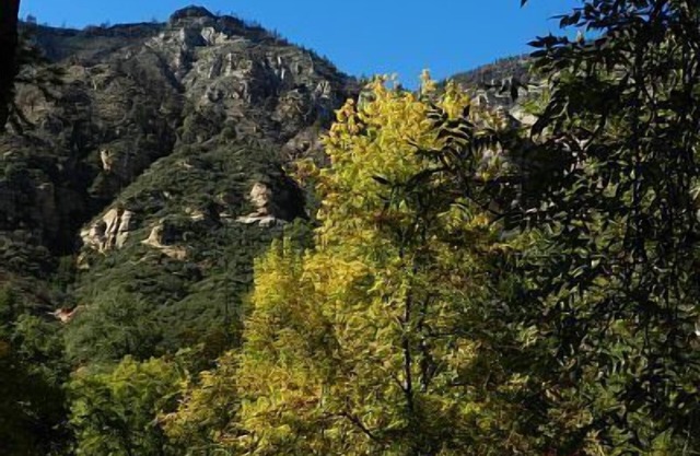 2 Bedroom Condo On The Banks Of Oak Creek