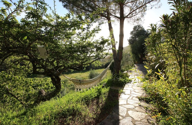 2 bedroom duplex house and terrace