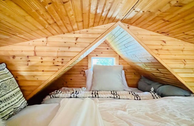 2 Cozy Bear Fun Cabins, Hiking Fire pit, waterfalls with Wifi kitchen Tree swing