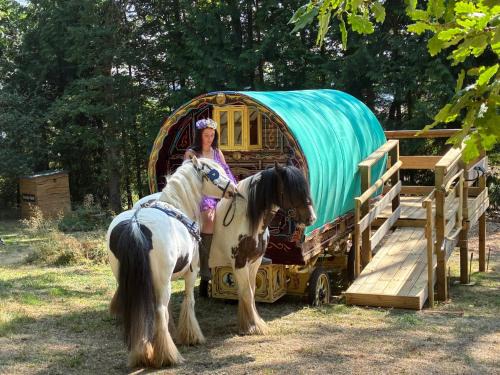2 Guests - Pet Friendly - Traditional Gypsy Vardo