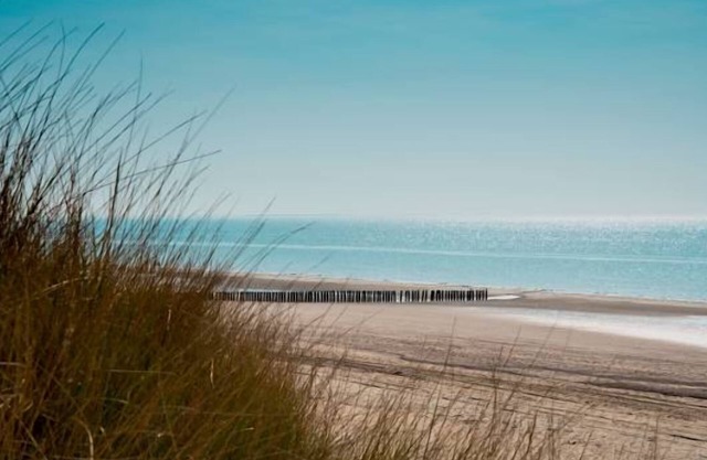 2 Modern units | Near local attractions, top dining spot, Beach & Nature access