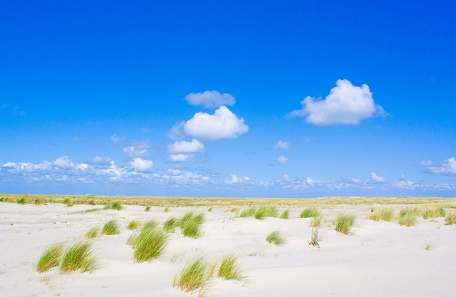 2 Nature escape | Free parking | Near Nature park, Beach vibes & Nature trails