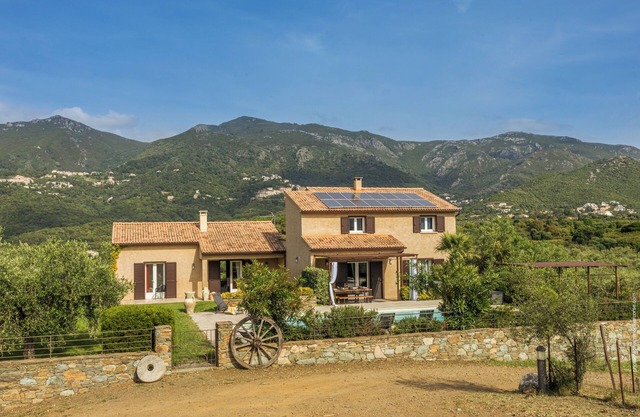 2 villas with swimming pool in an olive grove in Corsica: relaxation and serenity .