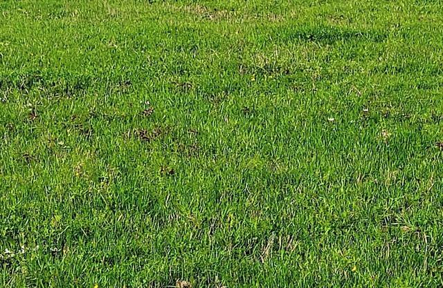 2024 Total Solar Eclipse Dry RV Camping