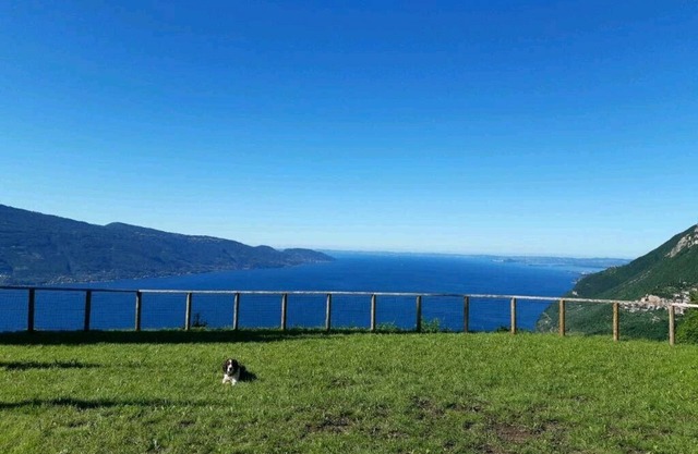 # 208 Casa Allegro for 4 people, pool, lake view