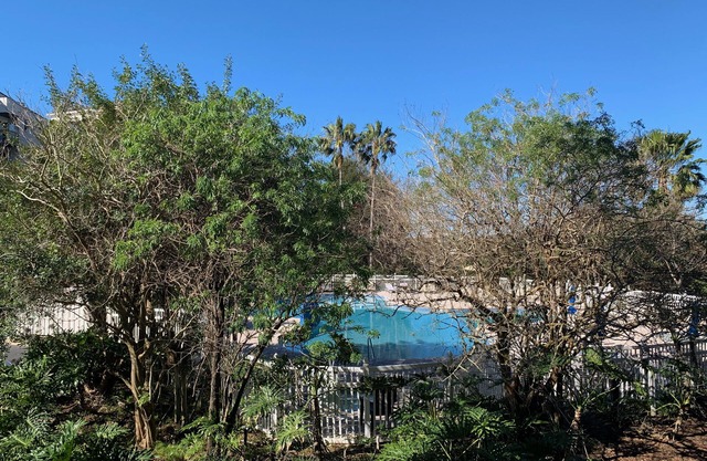 2205 -The heart of International Dr/Universal