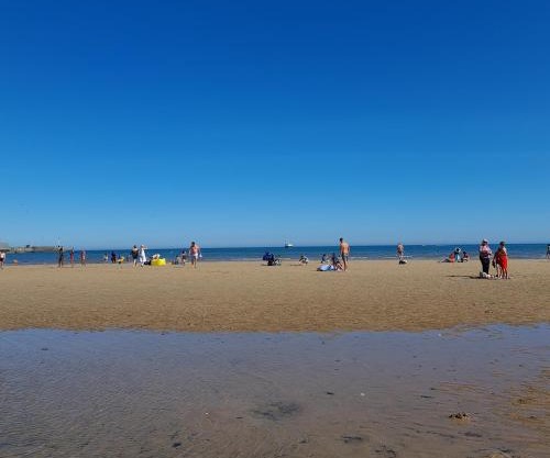 247a South Shore Pet friendly