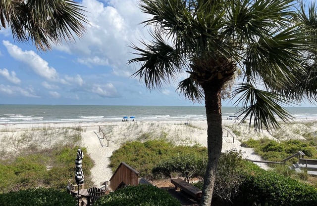 29 Turtle Lane Club: BESTNEST by Beverly Serral OCEANFRONT