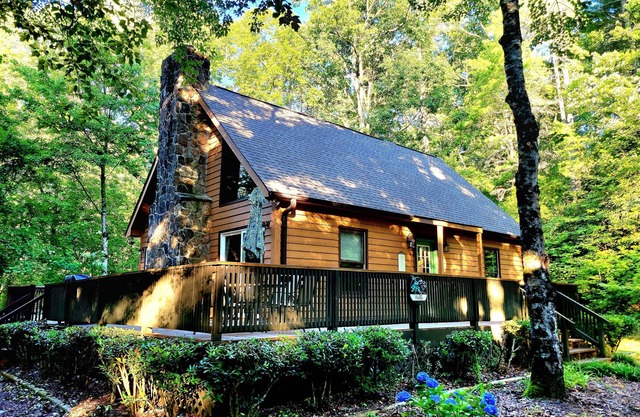 2miles to HELEN, Spa, GAME RM, Firepit, CRNHOLE, horseshoes