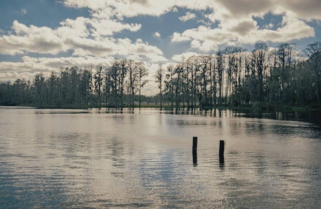 3bdr/2bth Lake Home (Tampa/LUTZ) close to all