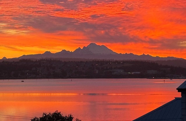 4 bdm home, Pets OK, Fantastic Ocean Views. All 10 star reviews. Bird Paradise!