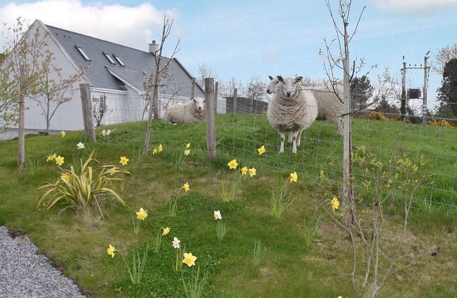 4 bedroom accommodation in Rosemarkie