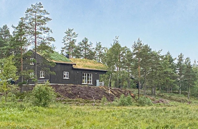 4 bedroom nice home in åmli