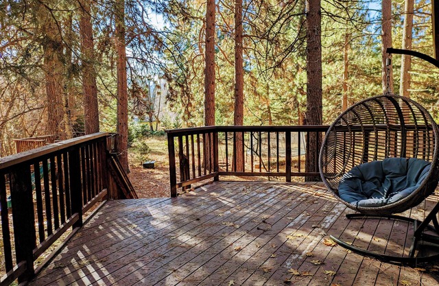 4BR Cabin in the Woods on 2.5 acres