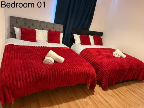 5 Brunswick St - Bedroom 01 downstairs