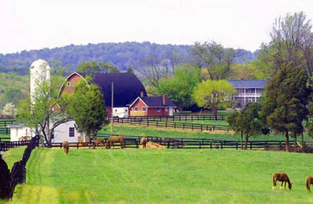 7 Homes, One 600-Acre Farm = Perfect For Wedding/Reunion/Big Family Gathering