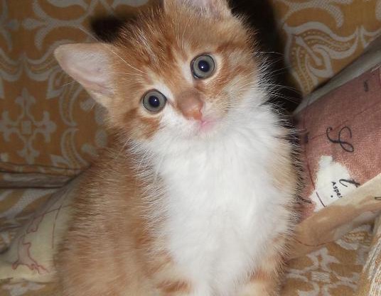 A Casa Di Mì Appartamenti vacanza