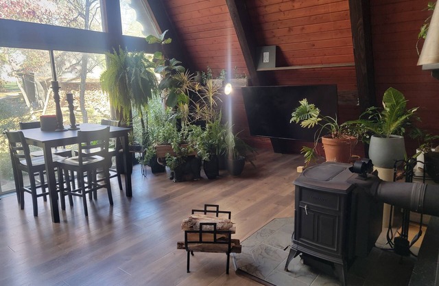 A-frame home, 3 acres, fenced, secluded, hot tub, sauna, dog friendly