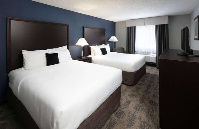 A Kids Dream! Flat Screen TV, Cable & Kids Networks, Wi-Fi, Kid Friendly Buffet
