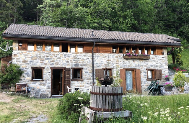 A l'Orée du Bisse - Anzère
