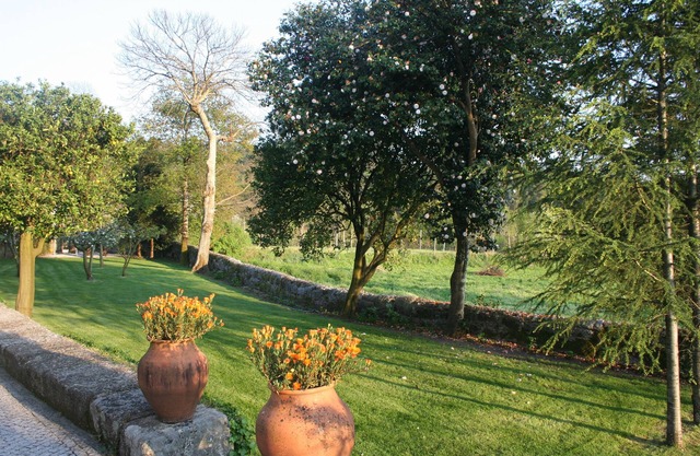 A Modern Twist in the Countryside