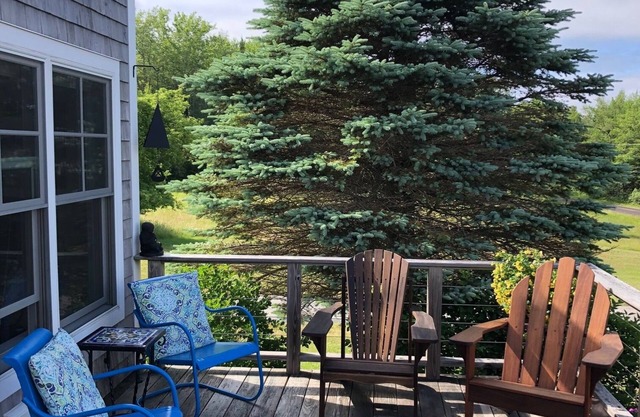 A Newly Renovated Ocean View Cottage