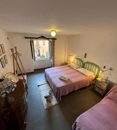 A P E house