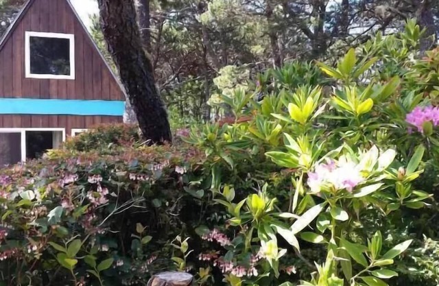A Retro A-Frame within walking distance of Heceta Beach -.Anchor's A-Way: