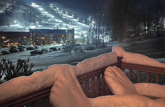 ❄️⛷A short walk to Holiday Valley adventures and 1 mile from the village🏂❄️