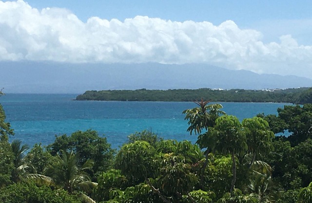 A stone's throw from the beach