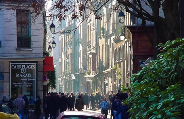 A Verdant Escape:580m2:Expansive Townhouse Nestled in a Marais Cul-de-Sac