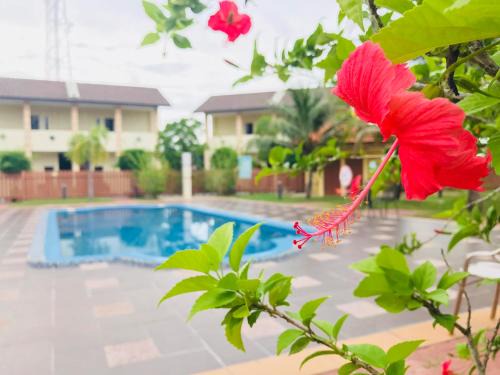 Adina Drive-In Motel Cenang - Managed By Shell Out Resort