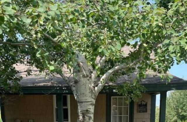 Adorable 1 Room Country Cabin