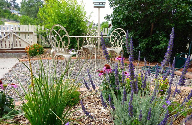 Adorable & Affordable Historic Cottage/Walk to Downtown/NAU/Groceries & Trails