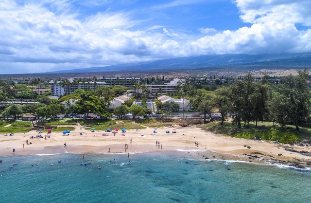 AEI at Maui Banyan