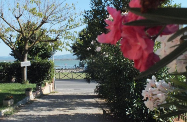 Affittacamere Le Petit Palais