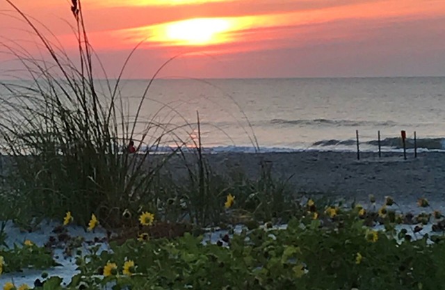 Afterdune Delight.only 40 steps to the sand!