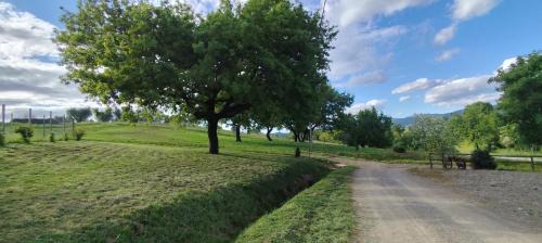 Agriturismo Campo alla Cantina appartamento Ginestra