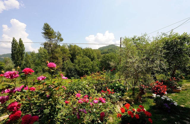 Agriturismo Casa Brunori