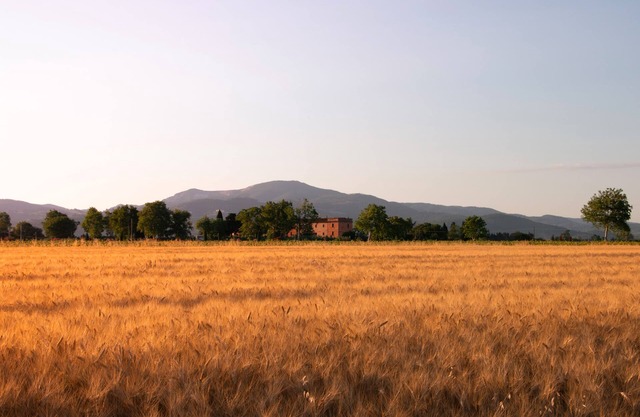 Agriturismo Il Pescinone - Ciclamino, between the countryside and the sea