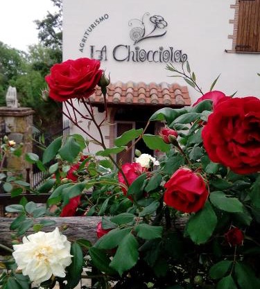 Agriturismo La Chiocciola