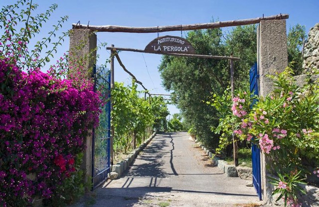 Agriturismo La Pergola