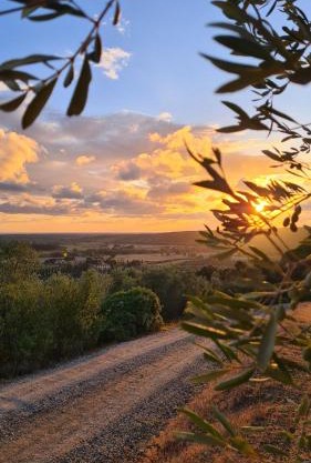 Agriturismo Le Serre